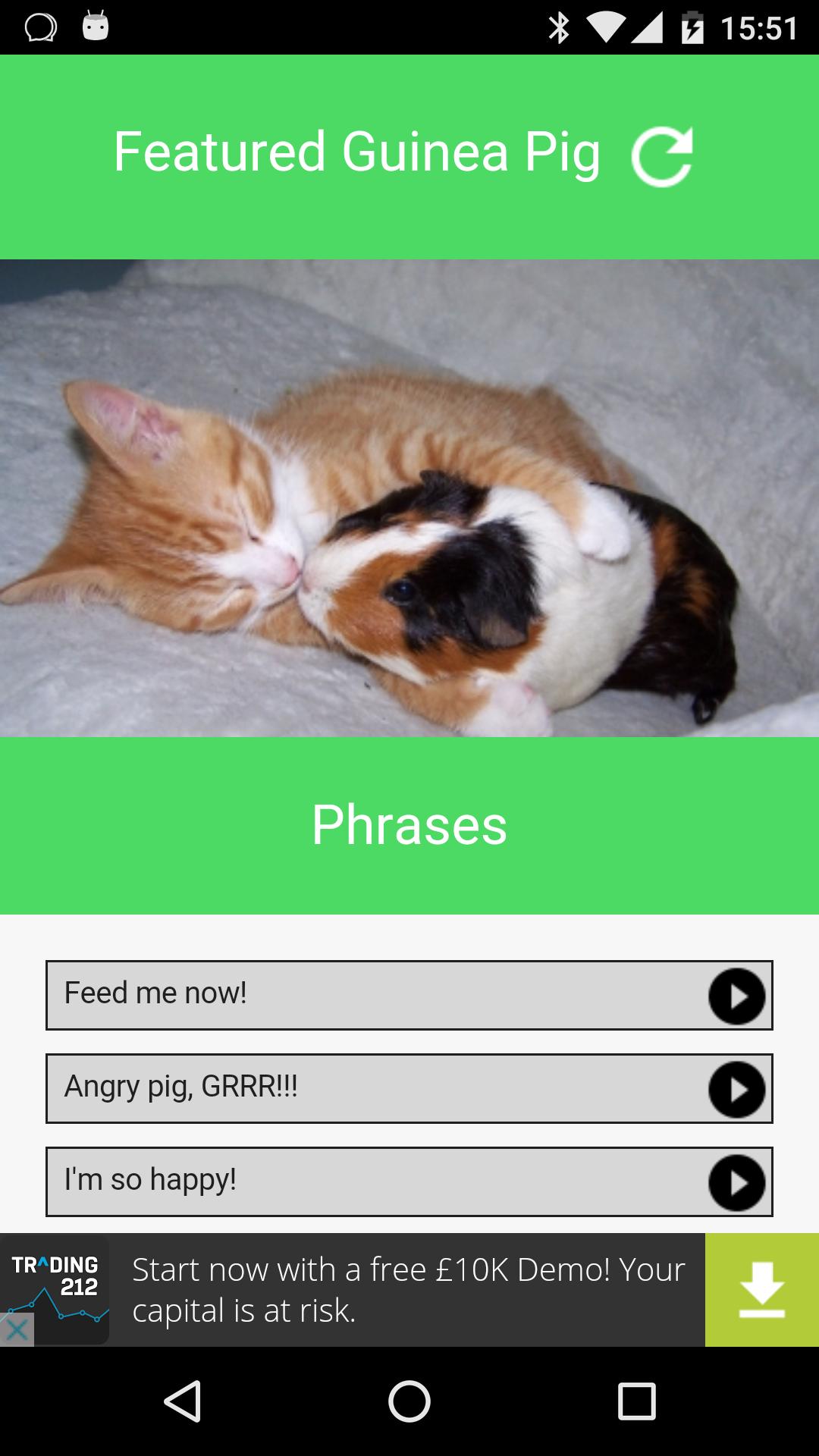 Guinea Pig Communicator