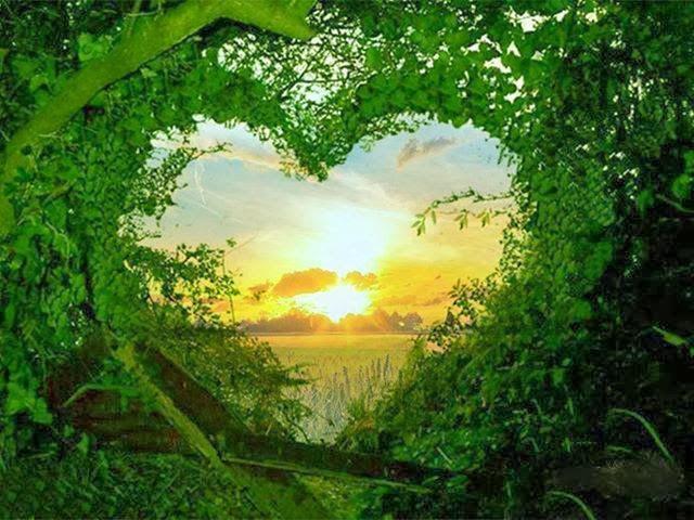 Nature Love Images