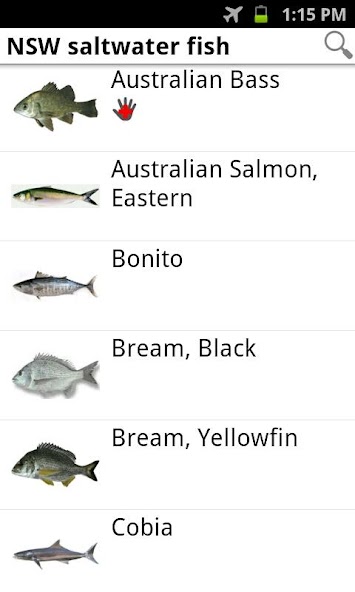 My Fishing Mate Australia