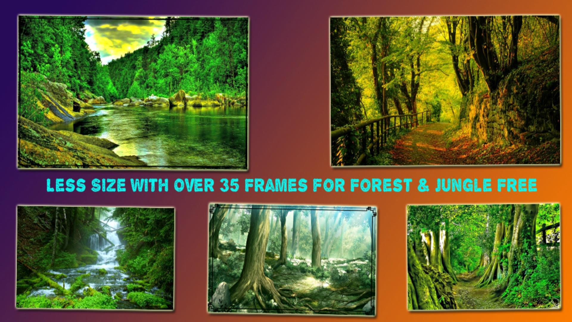 Jungle Frames For Photos