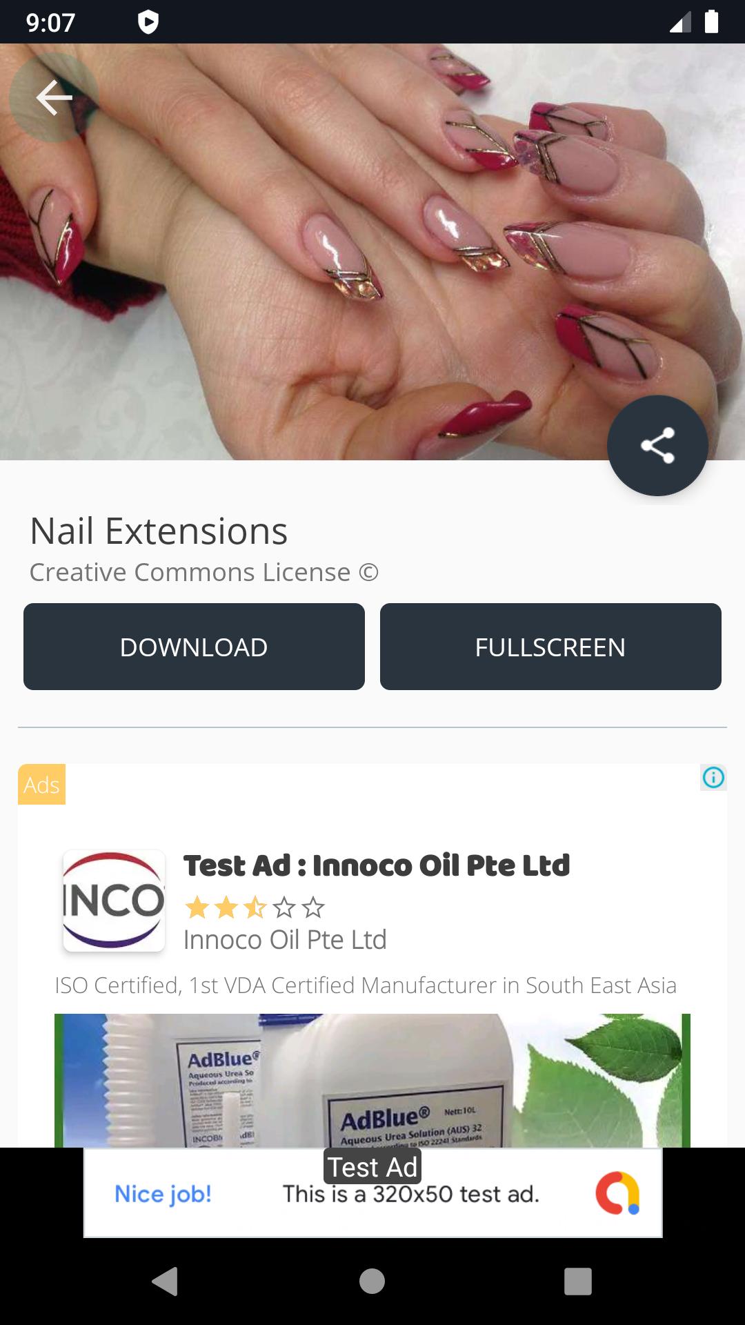 Nail Extensions Ideas