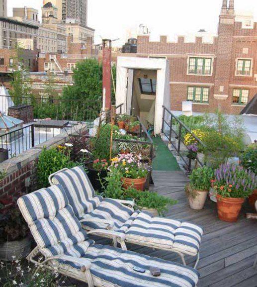 green rooftop garden