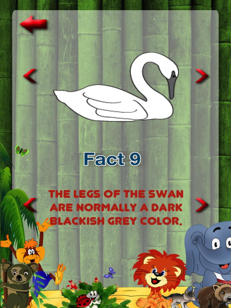 Animal Hooray: Sounds_Videos