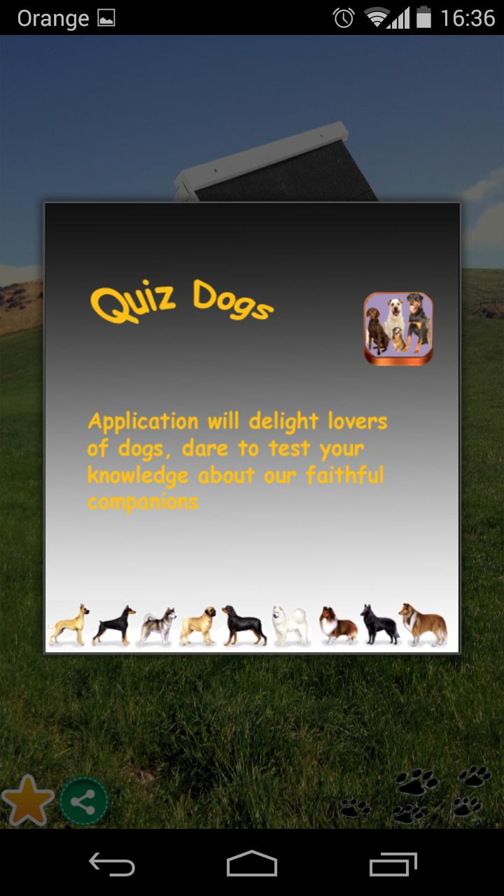 Quiz dogs