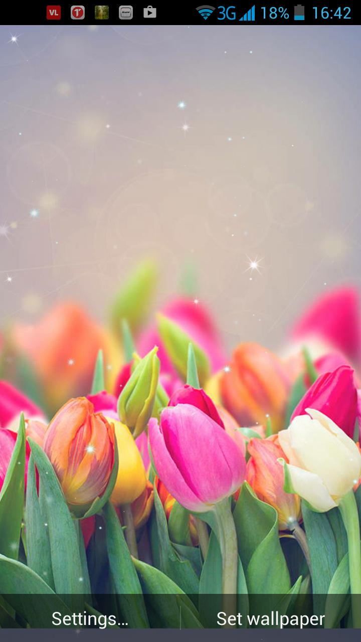 Flower Live Wallpaper