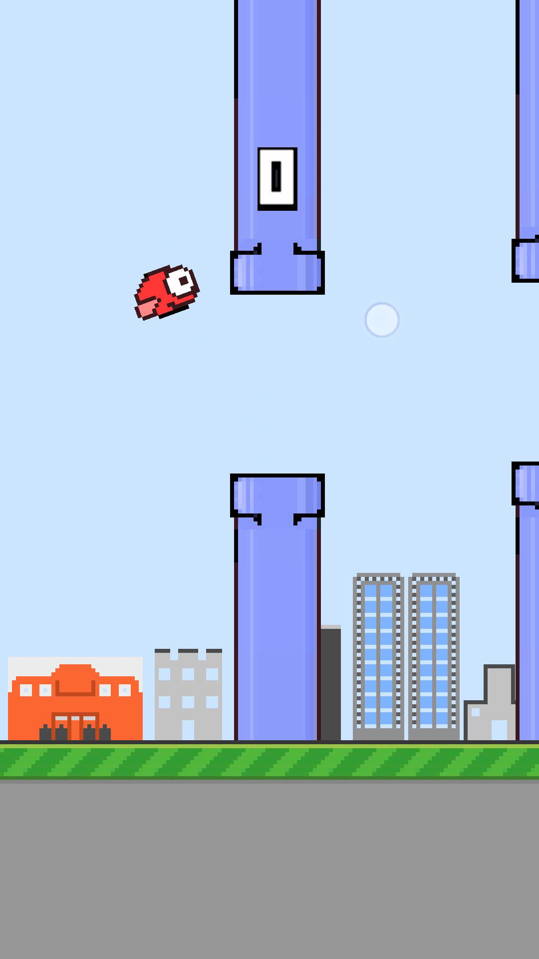 Birdie Pirdie(Trini Tap2Fly)