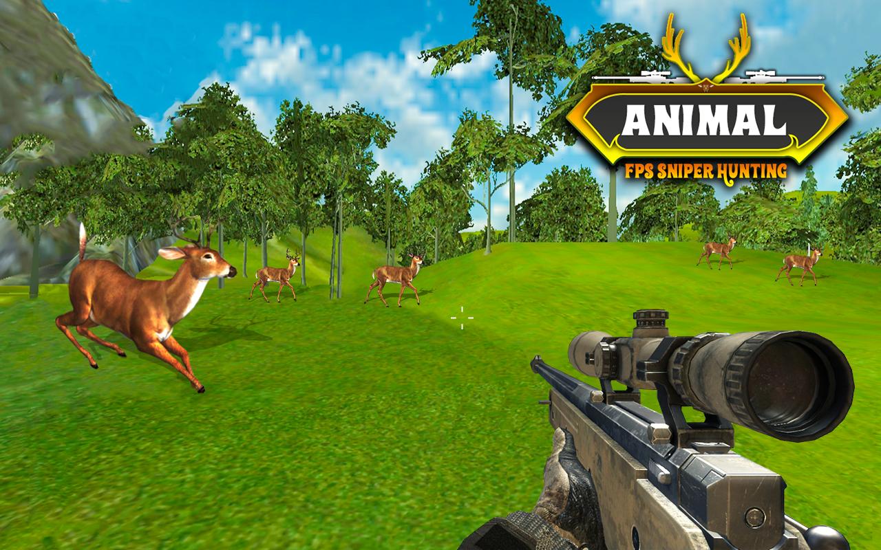 Wild Deer Hunting Animal Hunt