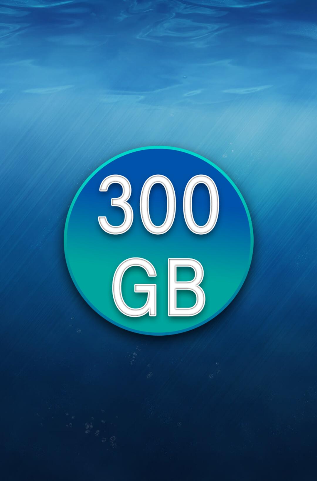 300gb Free Storage and backup 2018