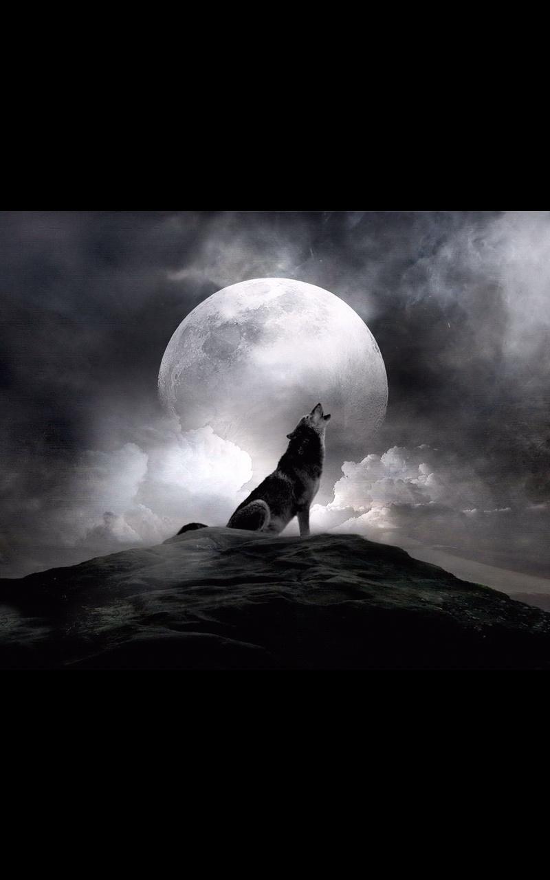 Photo HD Ghost Live Wallpaper