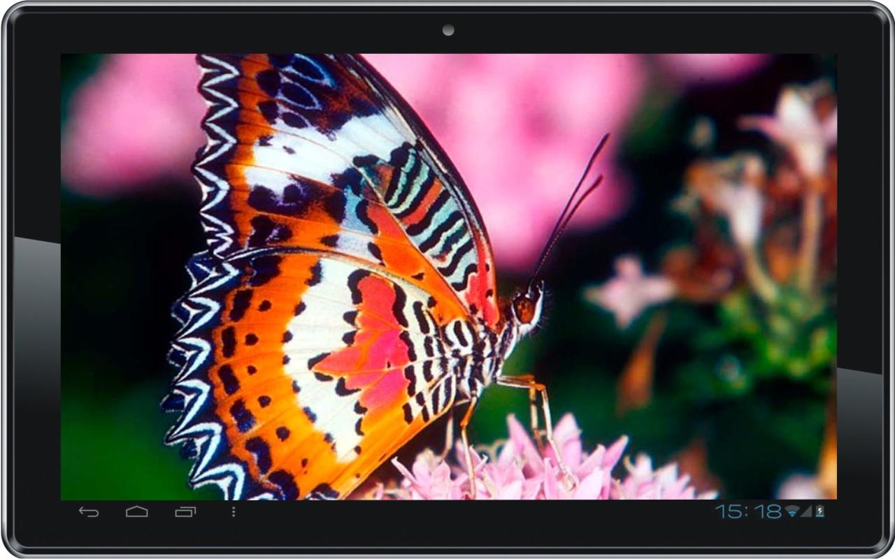 Flowers and Butterflies LWP