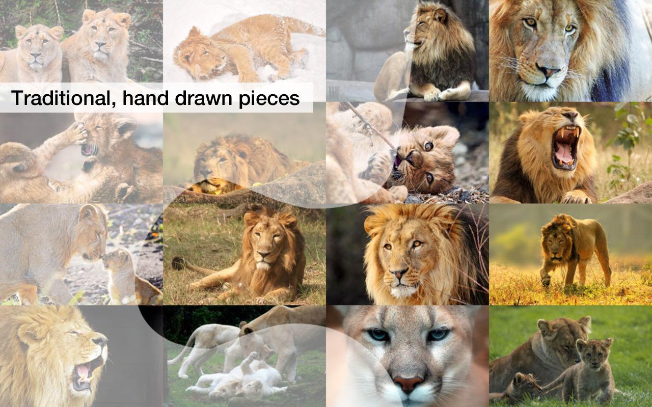 Lion Jigsaw Puzzles Demo