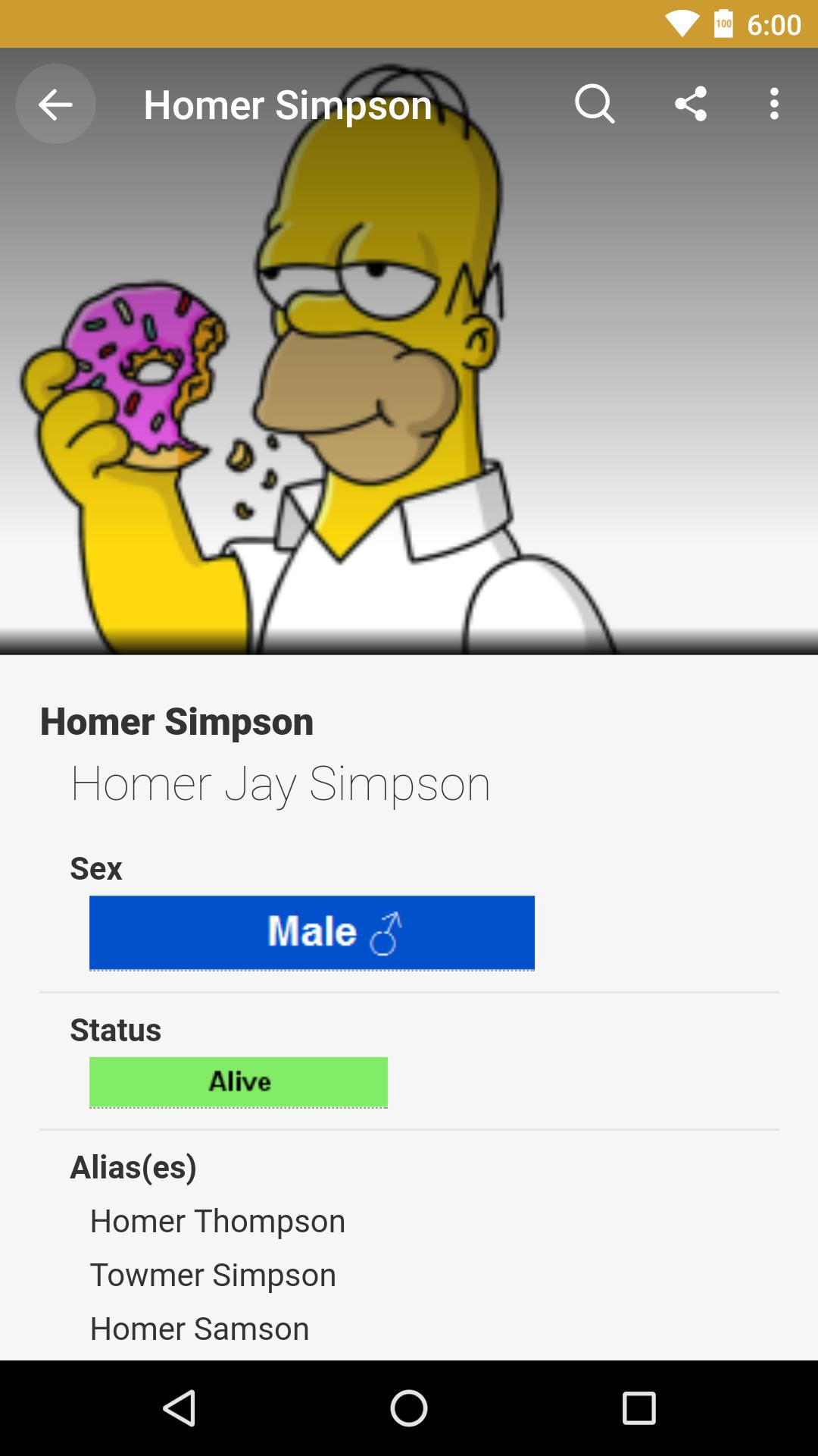 FANDOM for: Simpsons