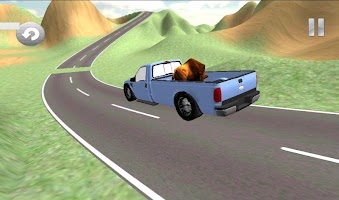 Pickup Load Carrying 3D