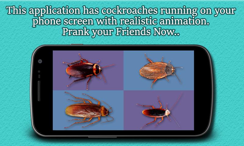 Cockroach On Face Prank
