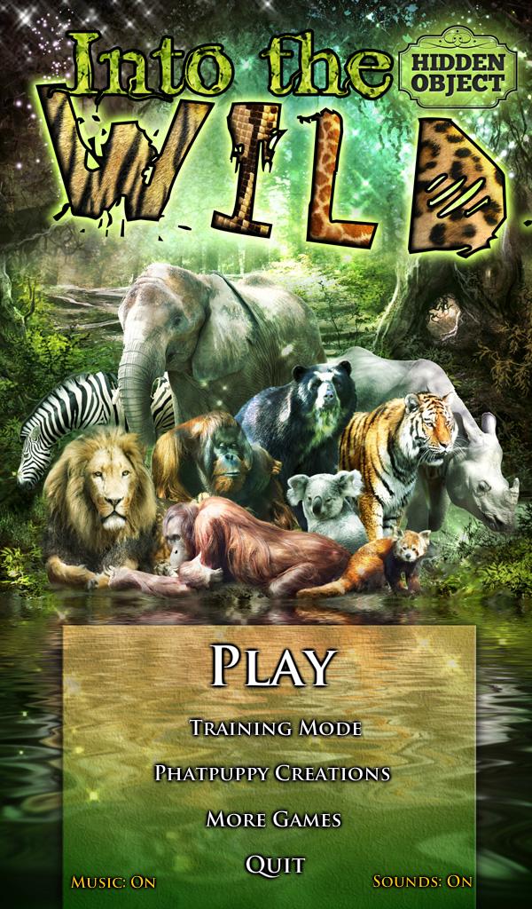 Hidden Object - Into the Wild