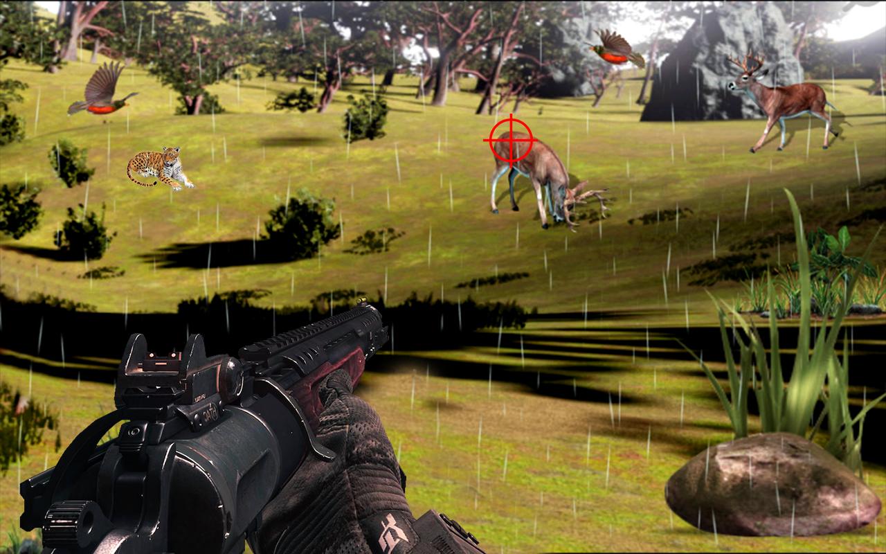 Hunting Animals in Jungle