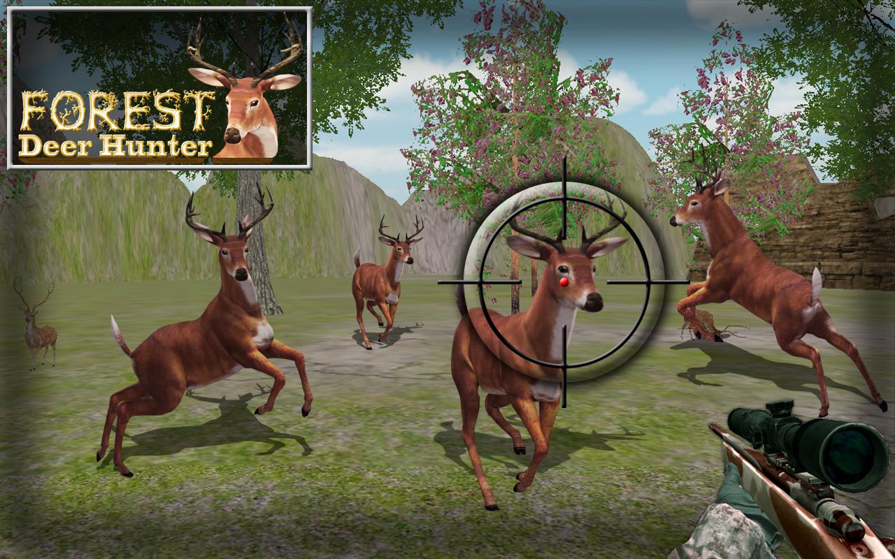 Hunt Animals in jungle