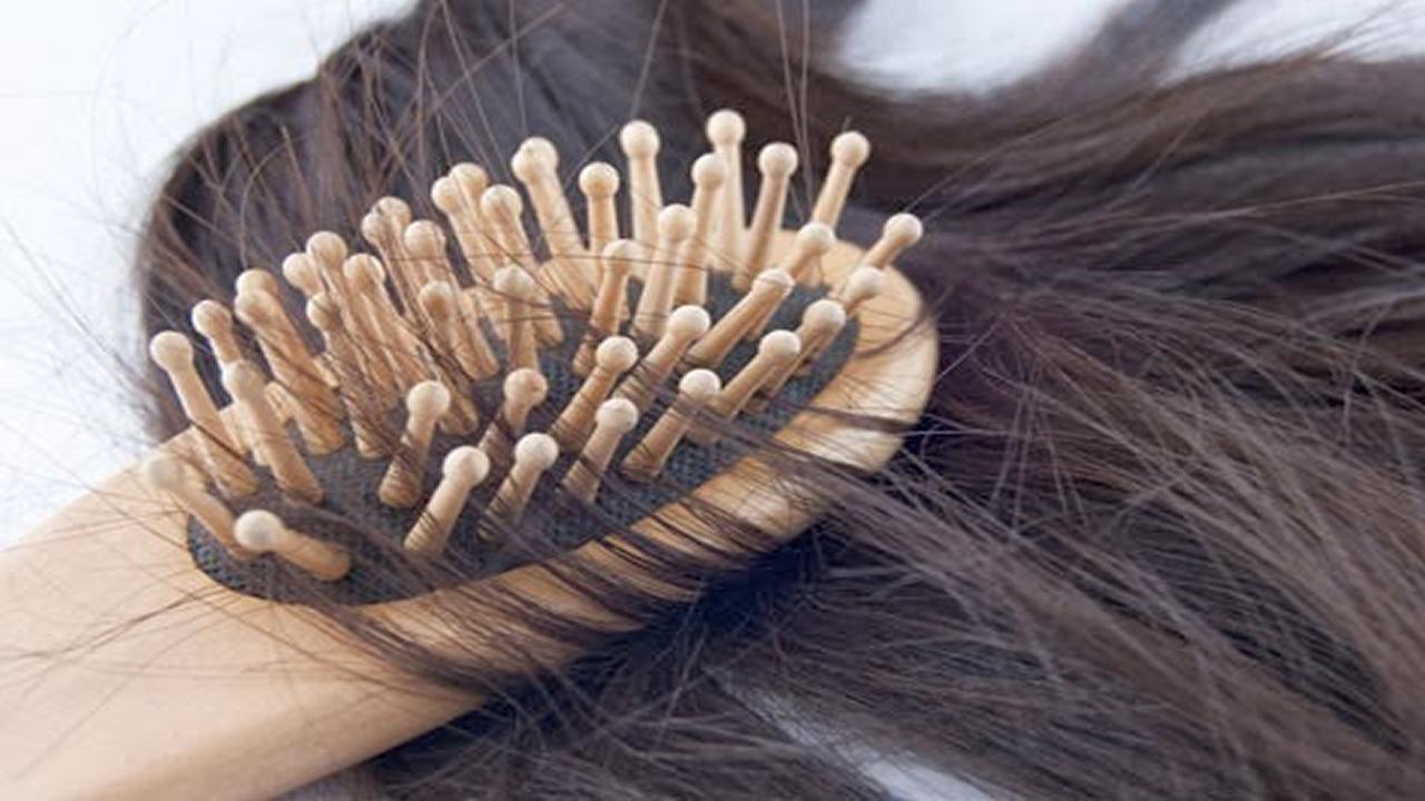 Caida del Cabello-Plantas