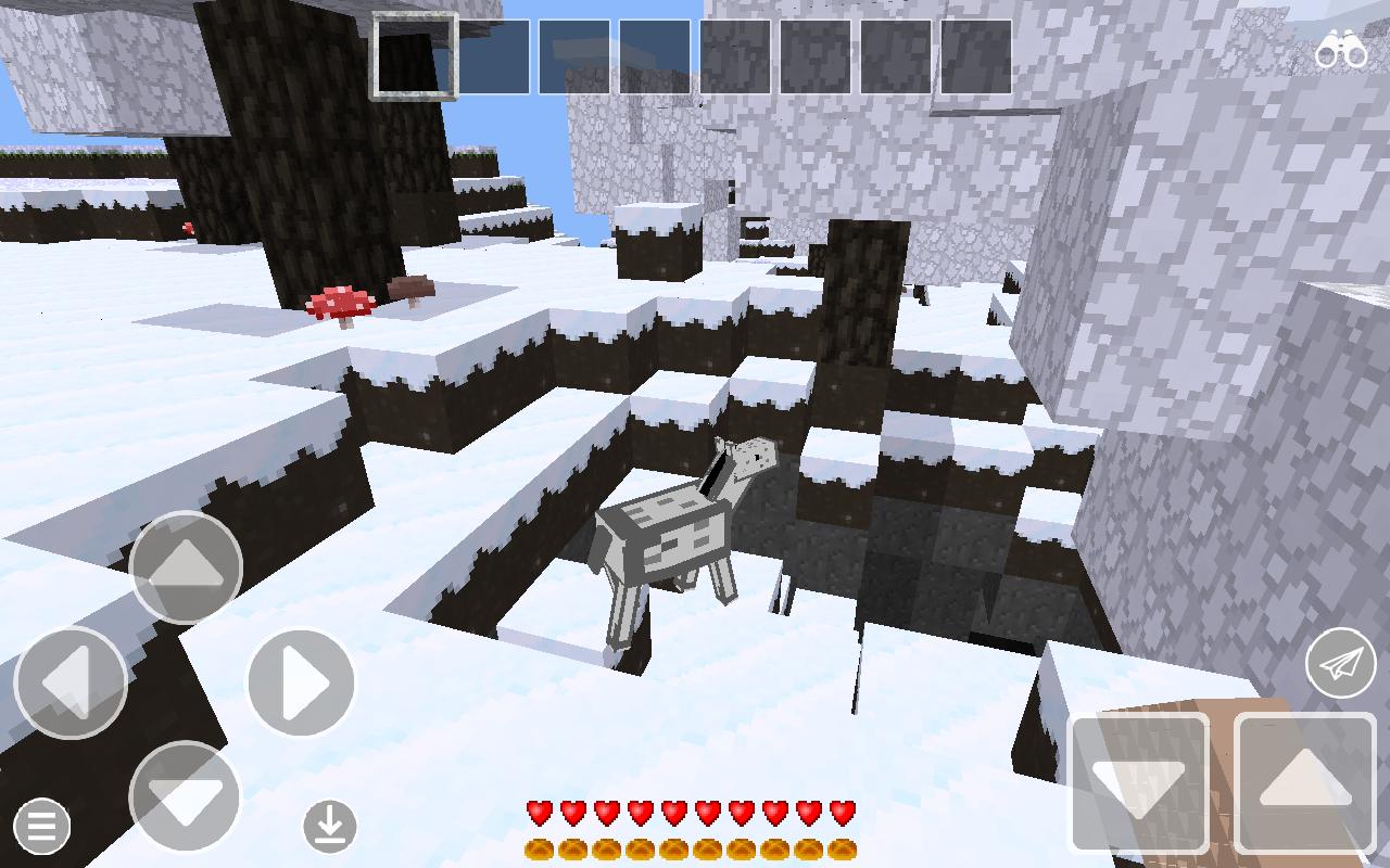 Play Craft : Block Survival