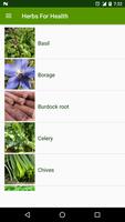 Herbs For Health