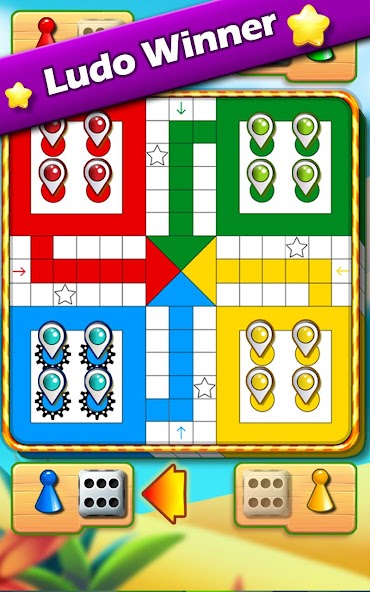 Ludo Game : Ludo Winner