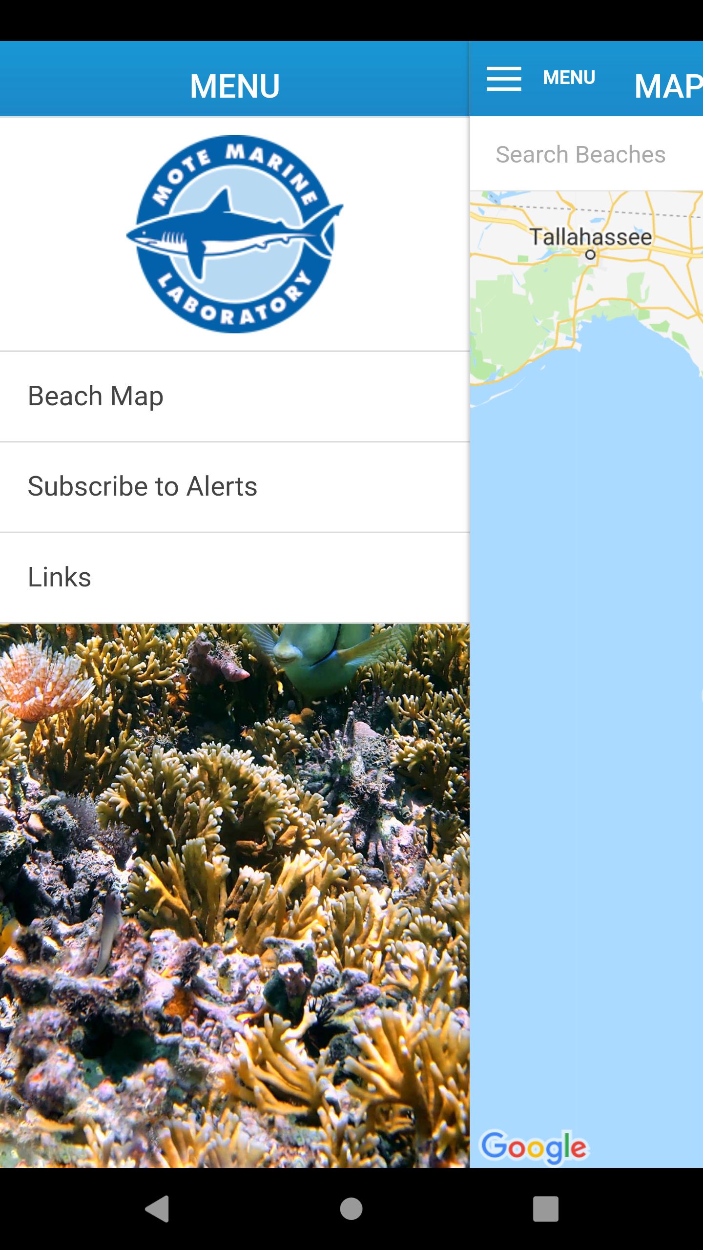 Mote Beach Conditions Reporting System BCRS