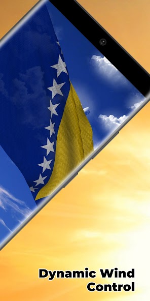 Bosnia Flag