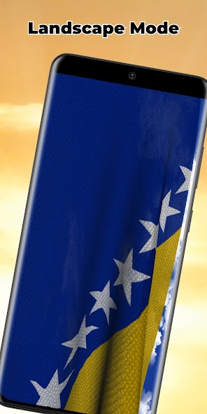 Bosnia Flag