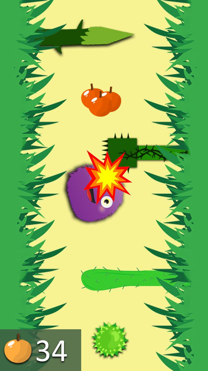 Fluffy animal run: Christmas Jungle rescue