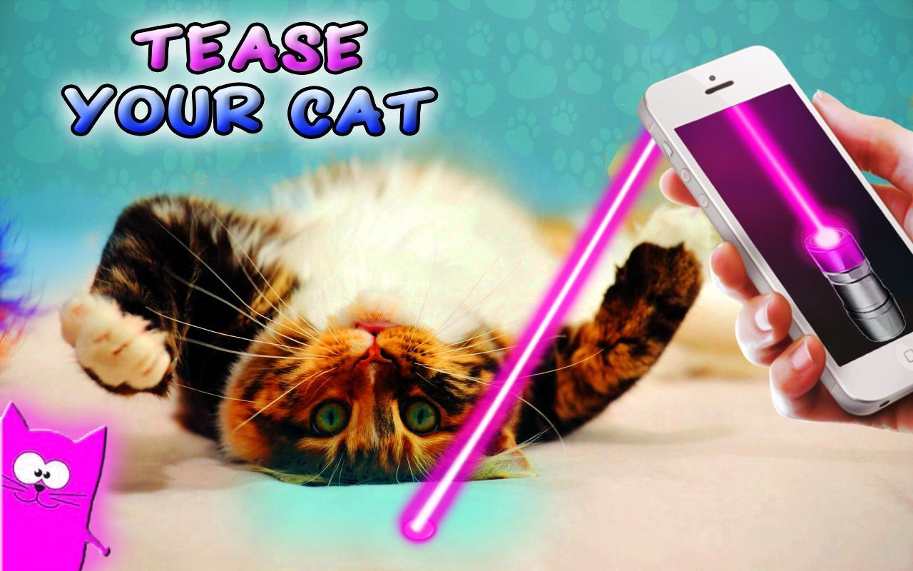 Laser for cats - Prank