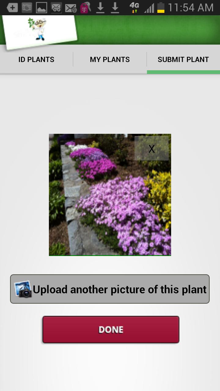 Mister Smarty Plants