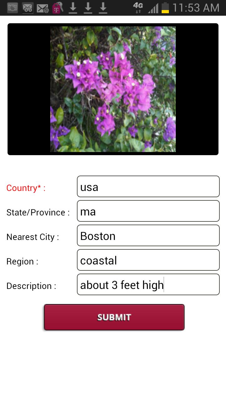 Mister Smarty Plants