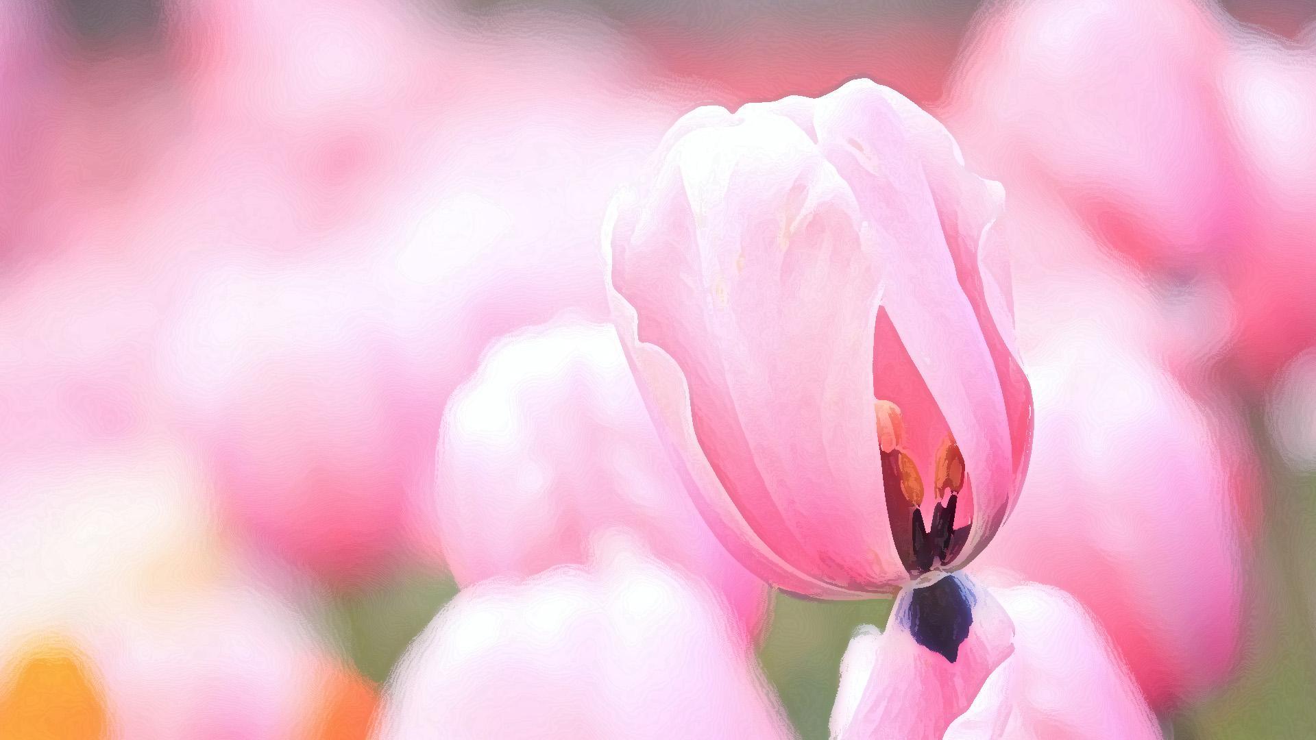 GuiDe for Hi Neighbor 2020