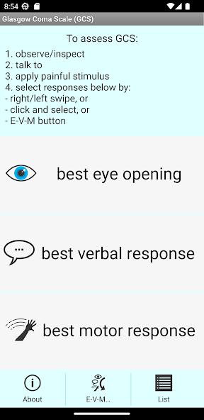 Glasgow Coma Scale (GCS)