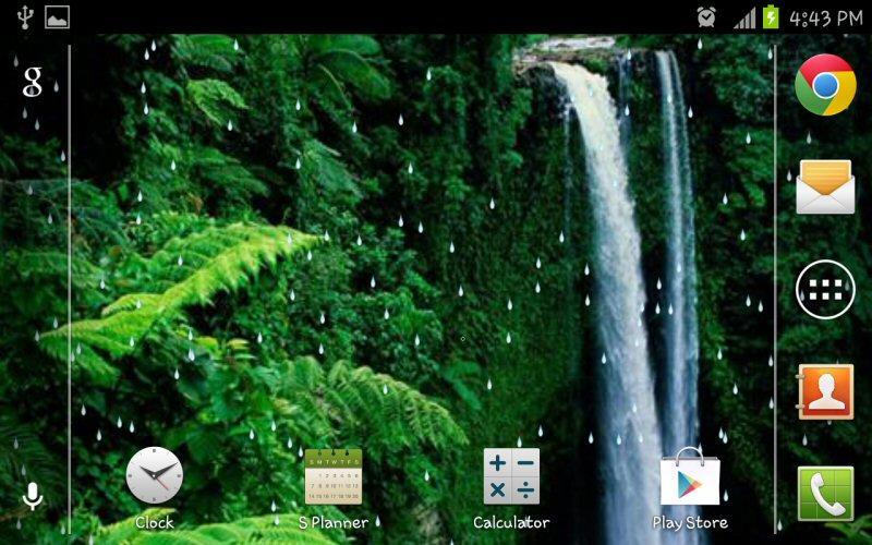 Rain Forest HD Live Wallpaper