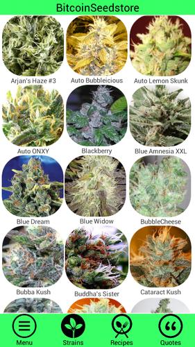 Marijuana Strain Guide