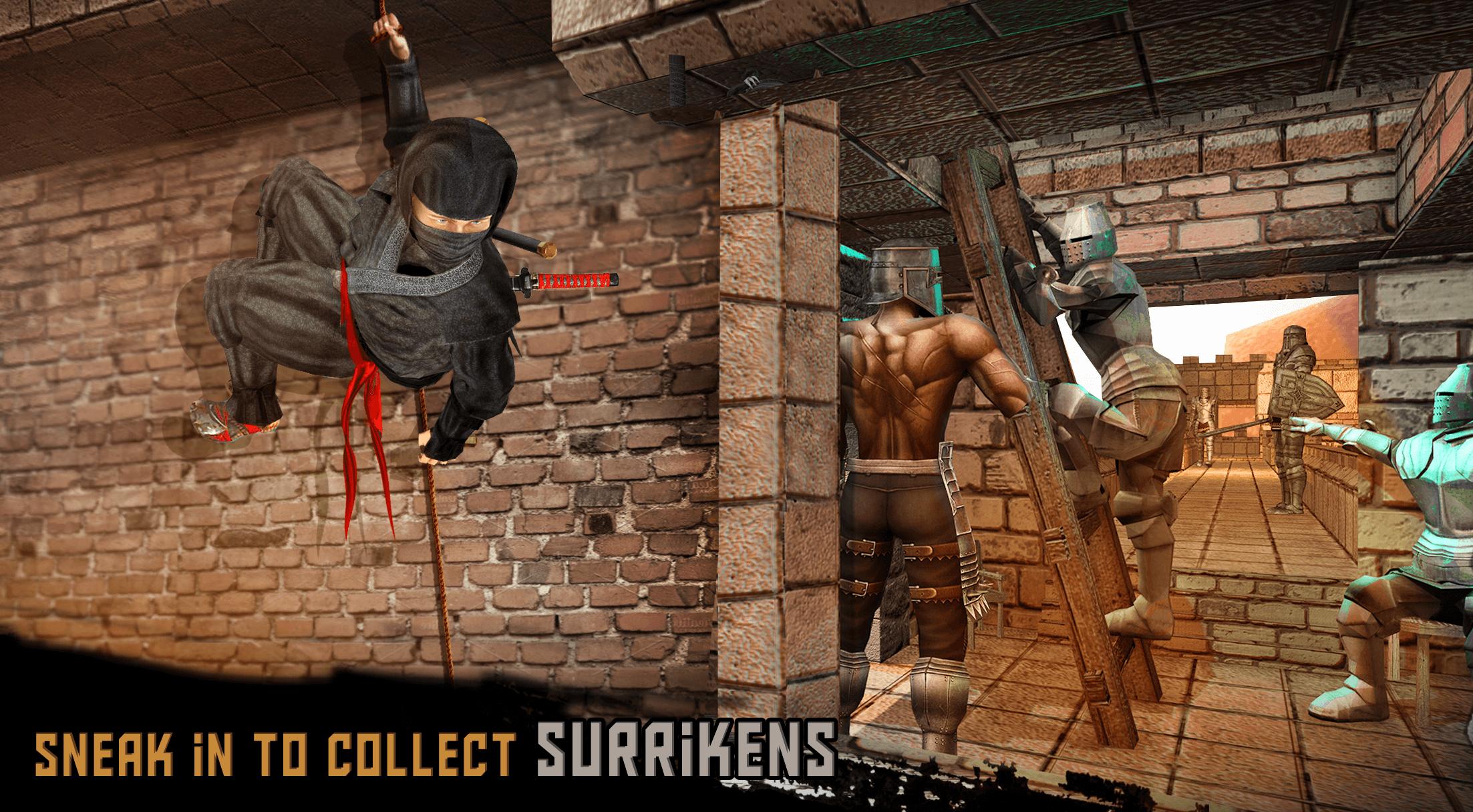 Ninja Warrior Assassin Survival