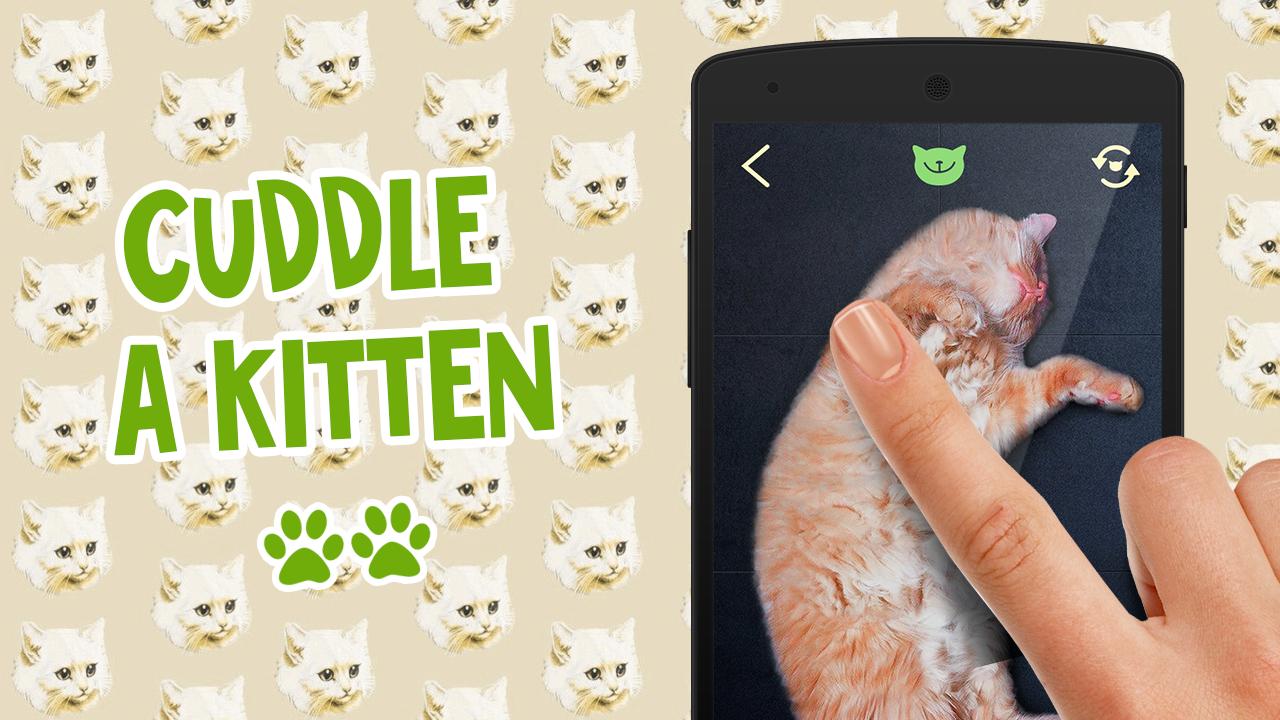 Pat the Cat Simulator