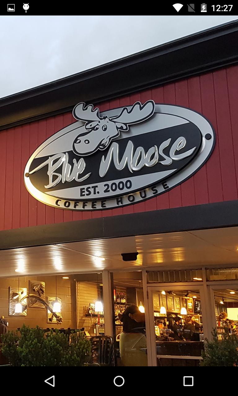 Blue Moose Coffee House