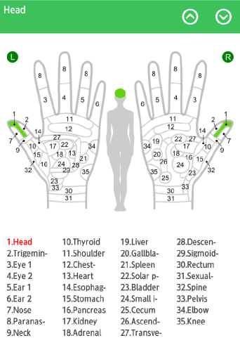 Hand Chart  / for Reflexology