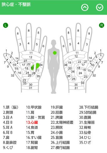 Hand Chart  / for Reflexology
