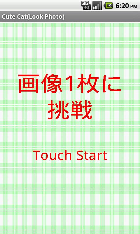 Cute Cat free(Look Photo)