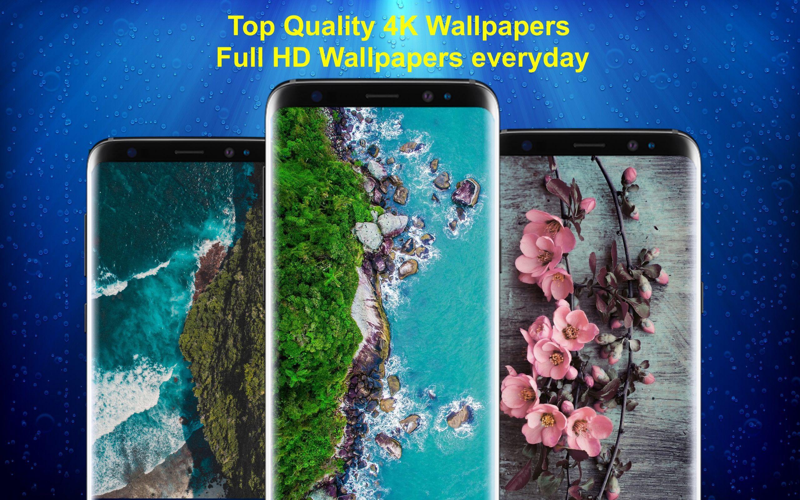 4k wallpapers ( hd wallpapers )