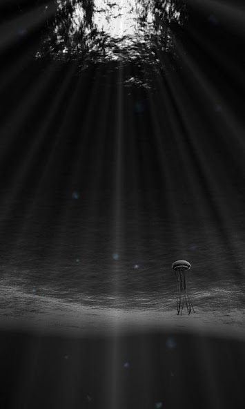 Jellyfish 3D LiveWallpaper