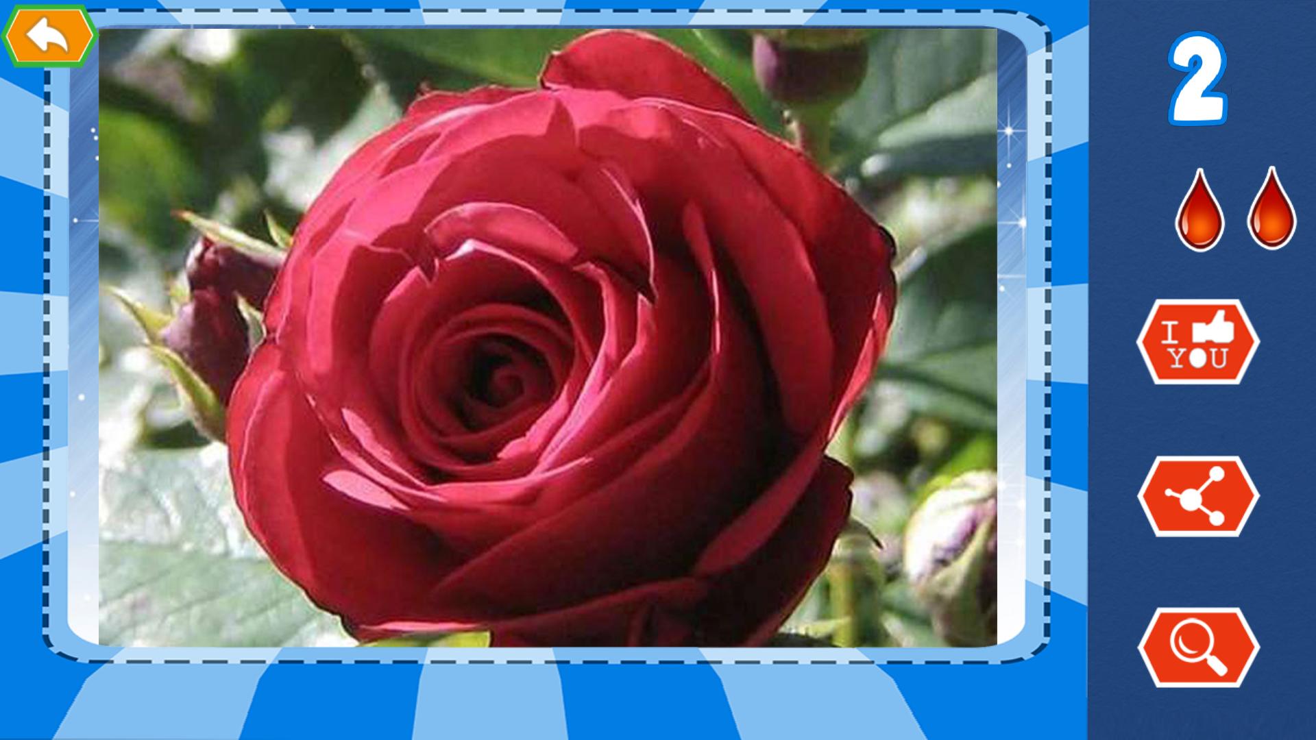 Ai la Thanh Soi - Thanh Soi