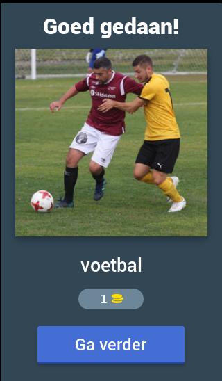 Raad het woord nederlands