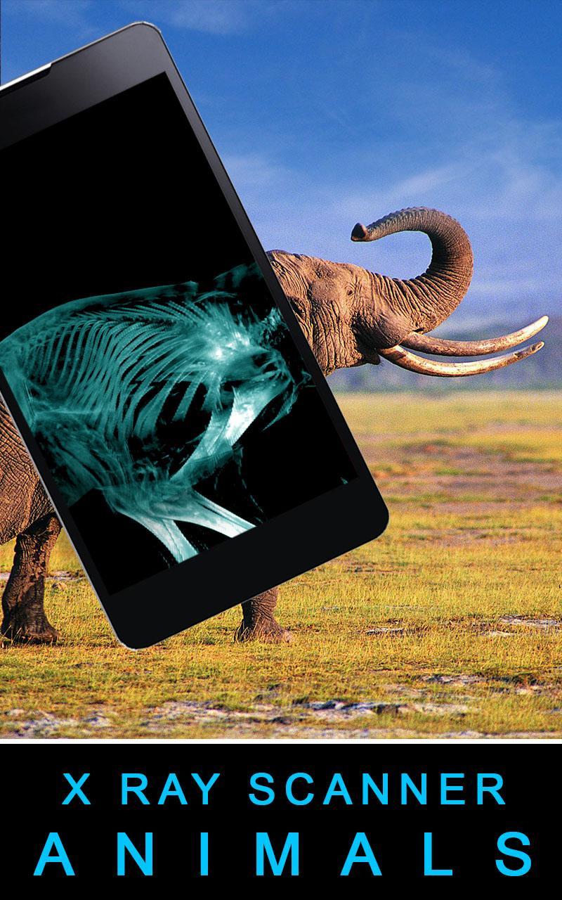 Xray Scanner Animals Prank