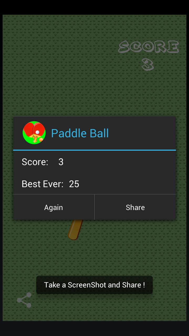 Paddle Ball