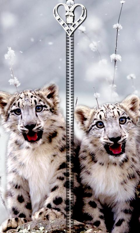 Cute Tiger Cub Zipper UnLock