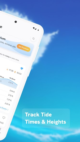 NOAA Tide Chart & Forecast